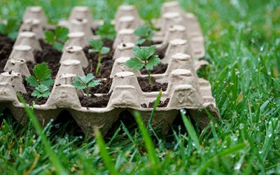 The Vital Role of Recycled Materials in Sustainable Farming Practices