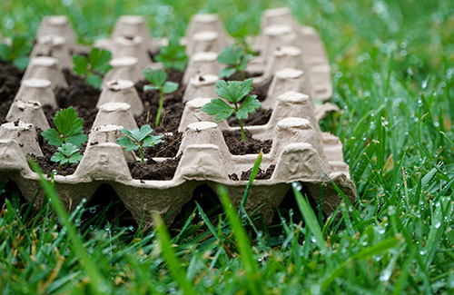 The Vital Role of Recycled Materials in Sustainable Farming Practices